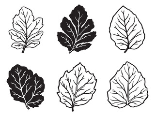 Minimalist Line Art of Fresh Passionfruit Fruit