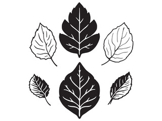 Minimalist line art of Wandering Jew plant drawing