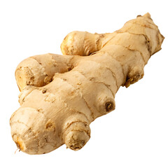 Fototapeta premium Ginger root isolated on a transparent background 