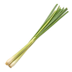 Single lemongrass stalk isolated on a transparent background
