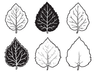 Minimalist Milkweed Leaf Line Art Vector for Eco-Friendly Design
