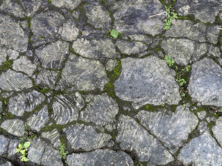 Natural random cut grey flagstone flattened on a surface. Or a series of cobble stones but flattened and paved seamlessly, for floor or wall finishes