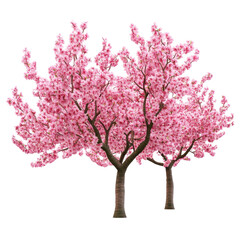 Blossom Grove isolated on white background .