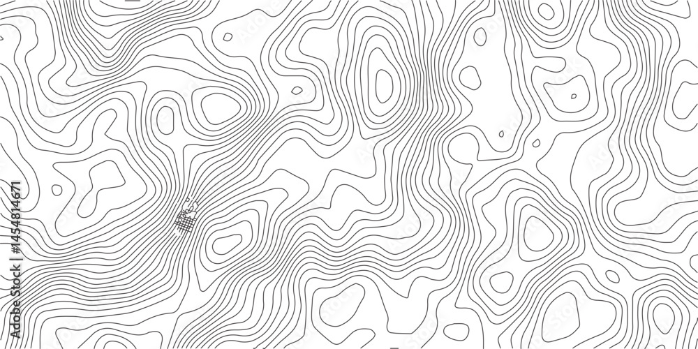 Poster abstract topographic contours map background .topographic background and texture, monochrome image. 