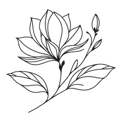 Elegant Magnolia Flower Line Art Vector Illustration for Creative Projects