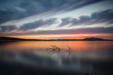 &Aacute;rbol sobre el agua