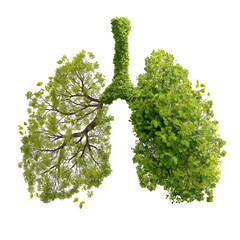 Green lungs made of leaves - an ecological symbol of clean air