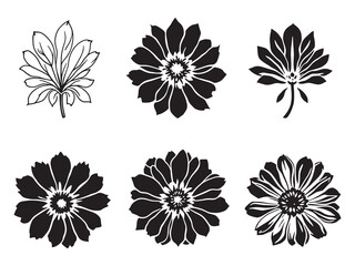 Minimalist Zinnia leaf sketch black and white