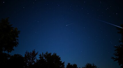 Midnight Sky Symphony: Nature's Light Show