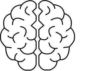 brain