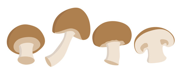 Mushroom champignon  icon set in the flat style on white background.