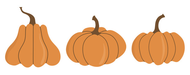Pumpkin vegetable icon set in the flat style on white background.