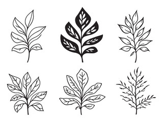 minimalistic line art spider plant leaf illustration