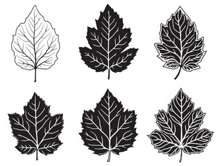 Obraz premium Minimalistic redbud leaf line art for decoration