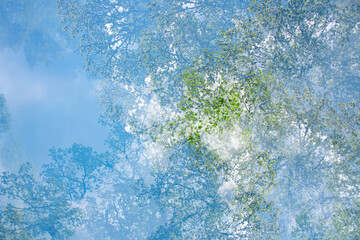 ICM background with shapes of trees, sky and clouds