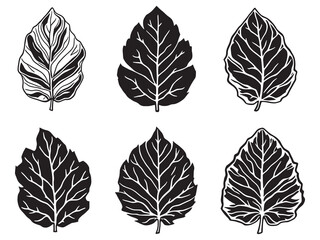 Minimalistic vector design of date tree leaf