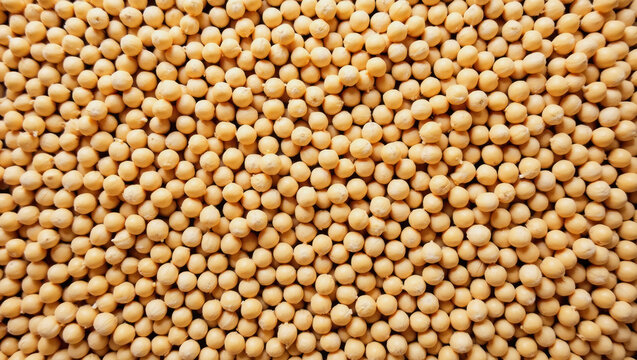 Yellow chickbeans scattered on a flat surface