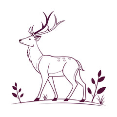 deer vector illustration