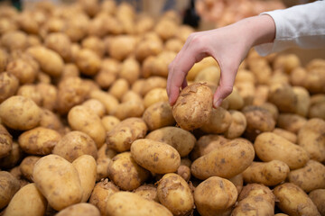 ジャガイモを持つ手