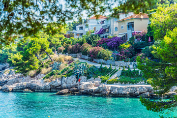 mediterranean village with variety of colourful  tropical flowers on the coast of Adriatic Sea.