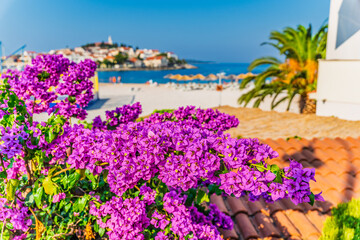 tropical summer flowers in front of a Mediterranean Sea in Croatia