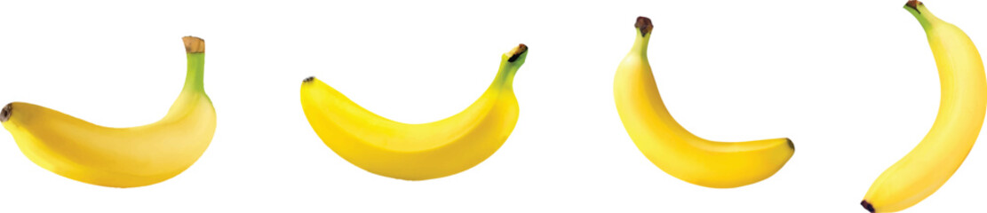 Set of bananas lined up on a plain white surface. vector art.