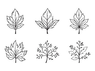 Nature Inspired Echinacea Leaf Outline Artwork for Decor