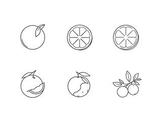 Orange line art icon fresh bright graphic element