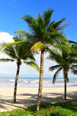 Obraz premium My Khe beach is a beautiful beach in Danang city, Vietnam. My Khe Beach is in Top 6 beautiful beach in the World By Forbes Magazine. 12.7.22