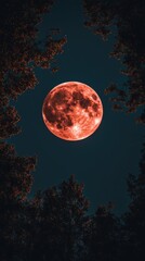 Naklejka premium Blood moon framed by trees at night