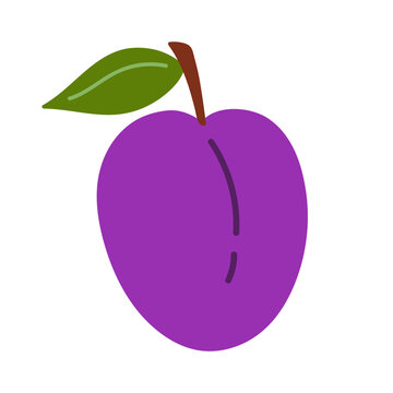 purple plum fruit with green leaf clip art preview
