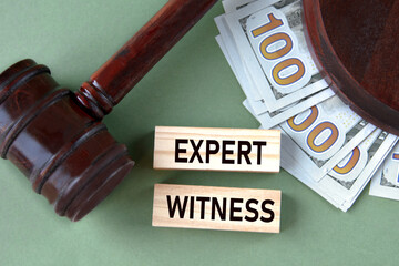 EXPERT WITNESS - words on wooden blocks against the background of a judge's gavel and banknotes