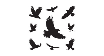 Obraz premium Flying Birds Silhouette Set, Bird Flight Vector Art