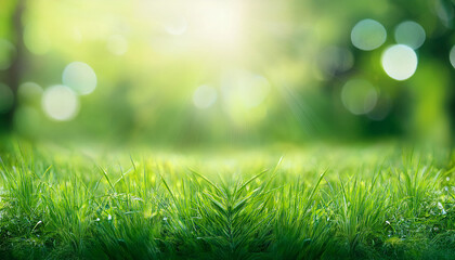 Fototapeta premium blur background green images