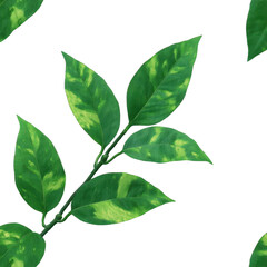 Fototapeta premium Green leaves with vibrant pattern are arranged against plain background, showcasing their natural beauty and intricate details. leaves appear fresh and lively, creating sense of tranquility
