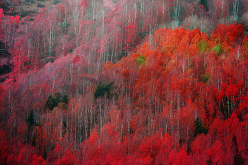 Surreal red mountain forest pattern