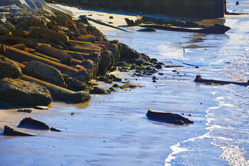 Wooden posts and construction waste on a pond coast