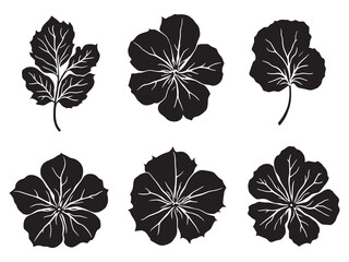 Petunia Leaf Elegant Line Art Drawing Illustration