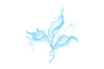 Water splash isolated on transparent background, abstract liquid floral png