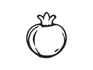 Pomegranate line art icon minimal organic design element
