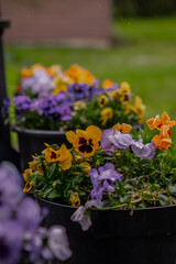 Flower buquoet on garden patio close up