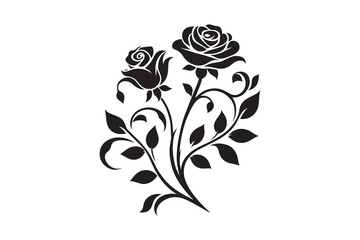 Elegant rose flower silhouette with white background