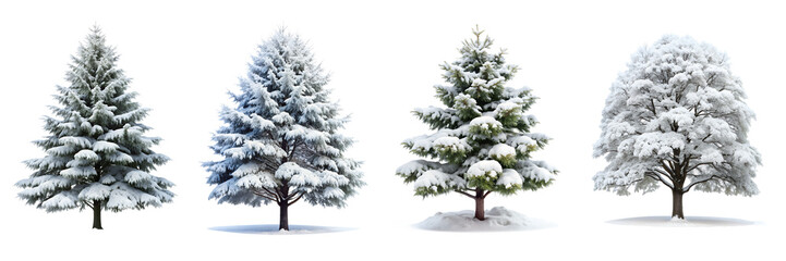 Collection of Different Trees Covered with Snow Isolated on Transparent Background