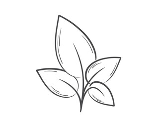 Plant line illustration. Nature and planting design element. Isolated vector image