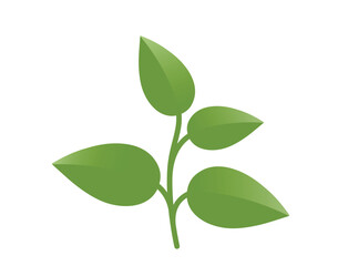 Green plant sprout with four leaves illustration. Spring, planting and nature design element. Isolated vector image