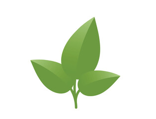 Green plant with three leaves. Nature, spring and planting design element. Isolated vector image