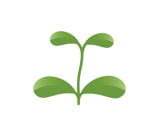 Green spring growing plant sprout illustration. Nature and planting design element. Isolated vector image