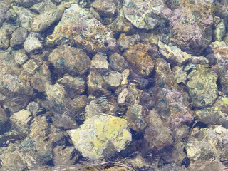 Stones in the Adriatic sea