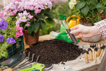 Soil testing in garden setting with flowers, tools, and fresh potting soil on a wooden table.