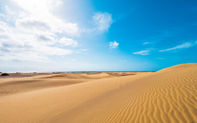 Dunes of Maspalomas, grand canary, in summer